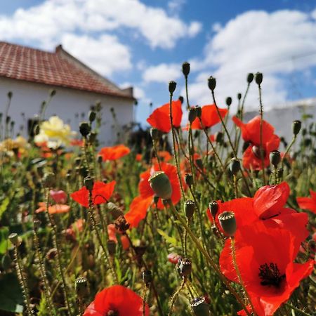 Al Mar Guesthouse São Luis Eksteriør billede